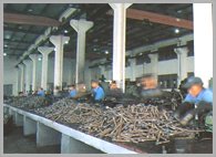 Cutting Workshop